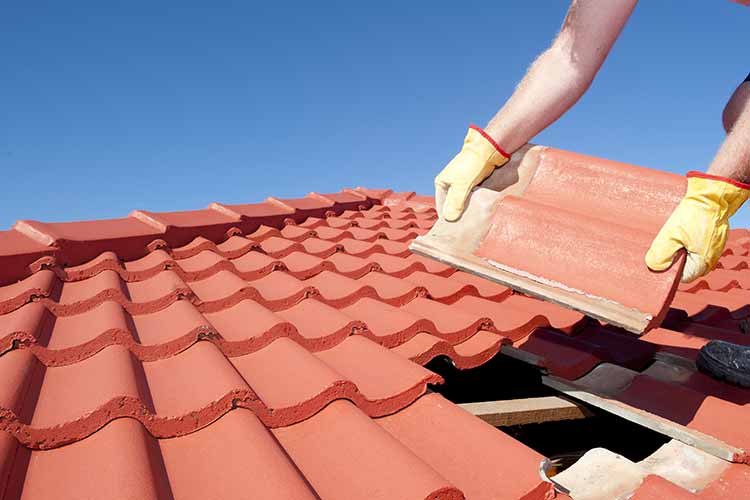 Roofing Contractor