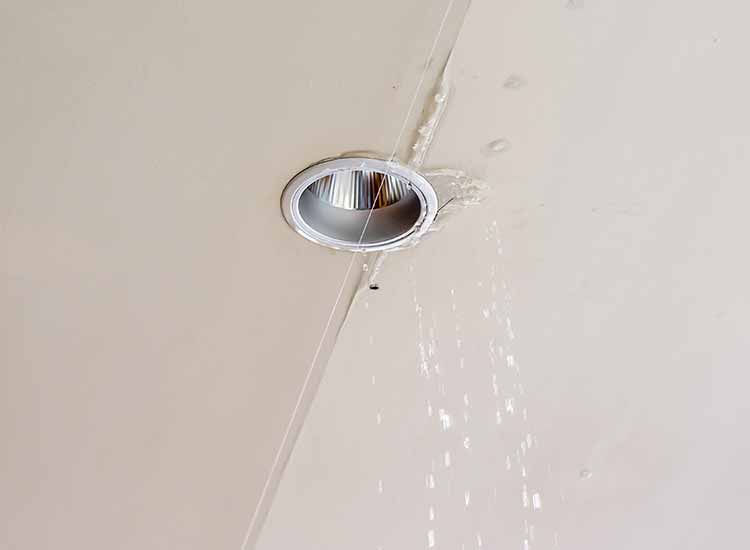 Water Damage Repairs