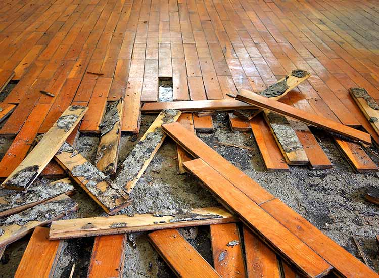 Home Restoration Services